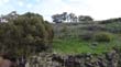 DSC09098