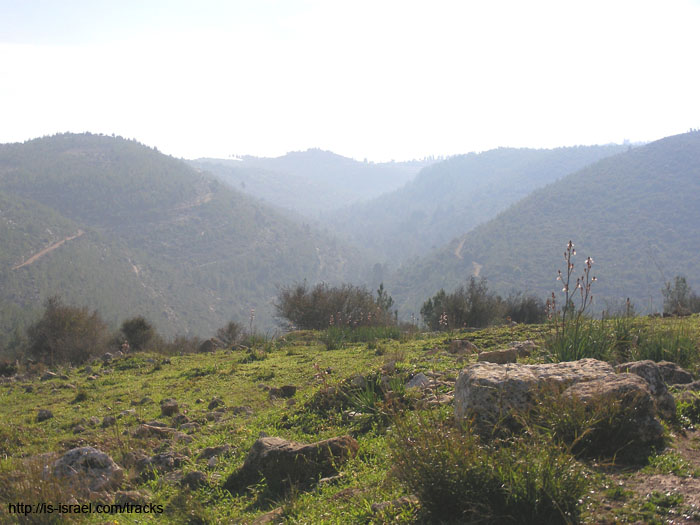SANY1850