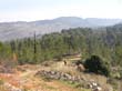 SANY1854
