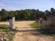 SANY1856