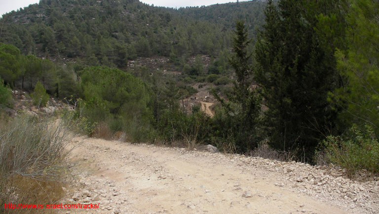 SANY5315