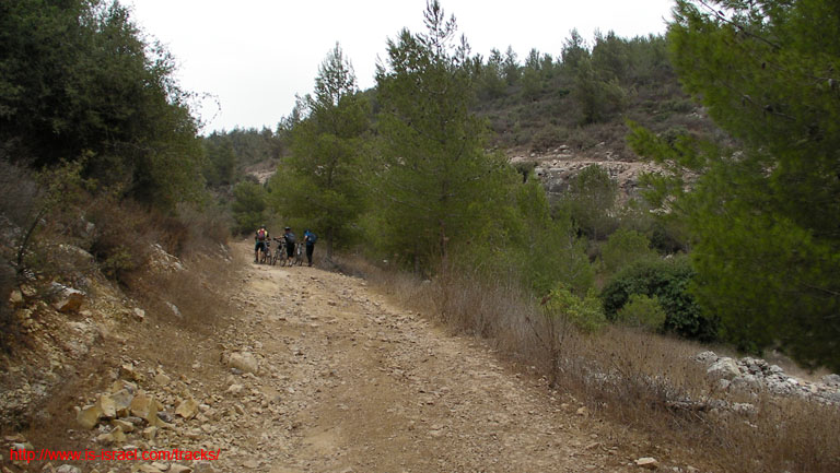SANY5329