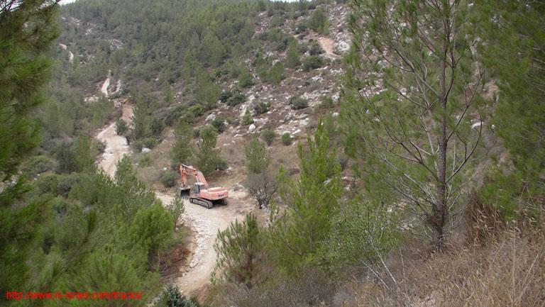 SANY5358