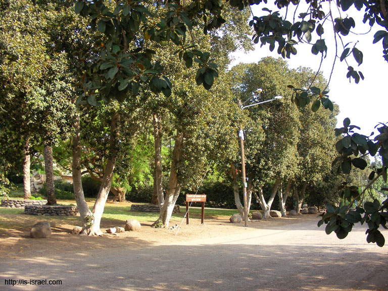 SANY6924