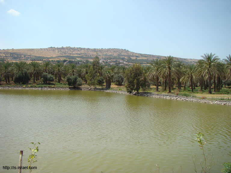 SANY7135