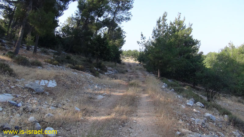 DSC06556