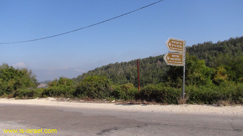 DSC06601