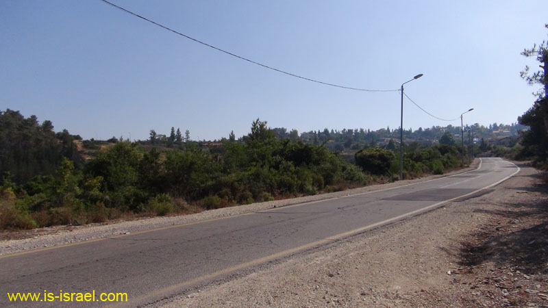 DSC06602