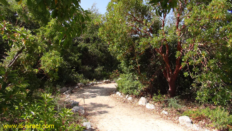 DSC06629