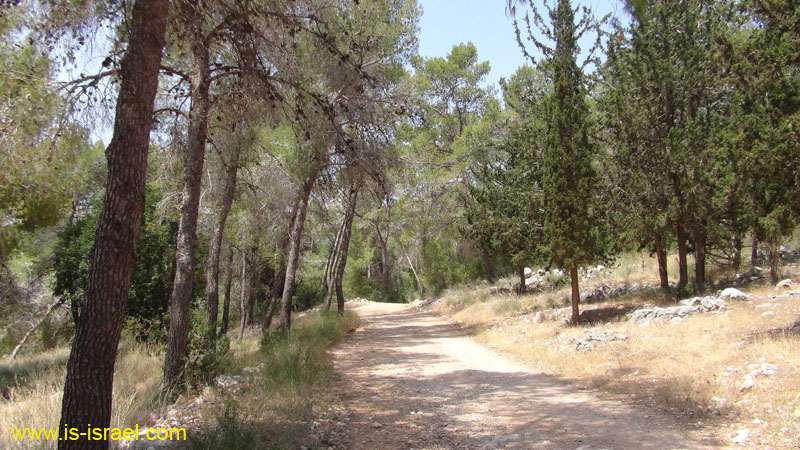 DSC06671