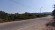 DSC06602