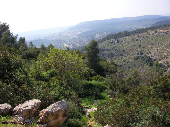 SANY2585