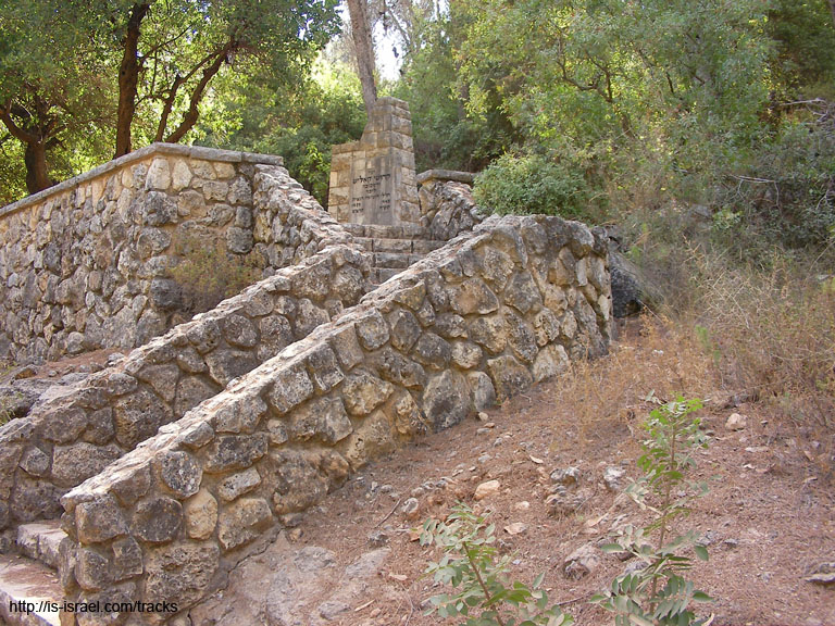 SANY0158