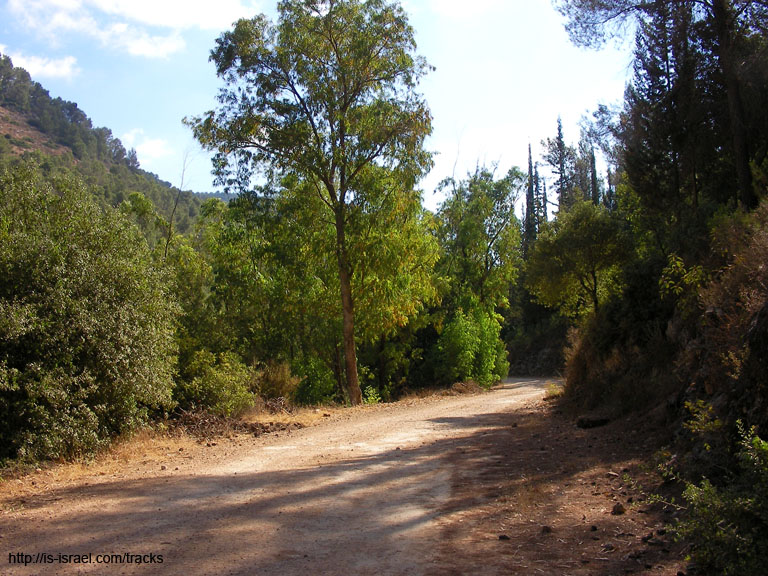 SANY0161