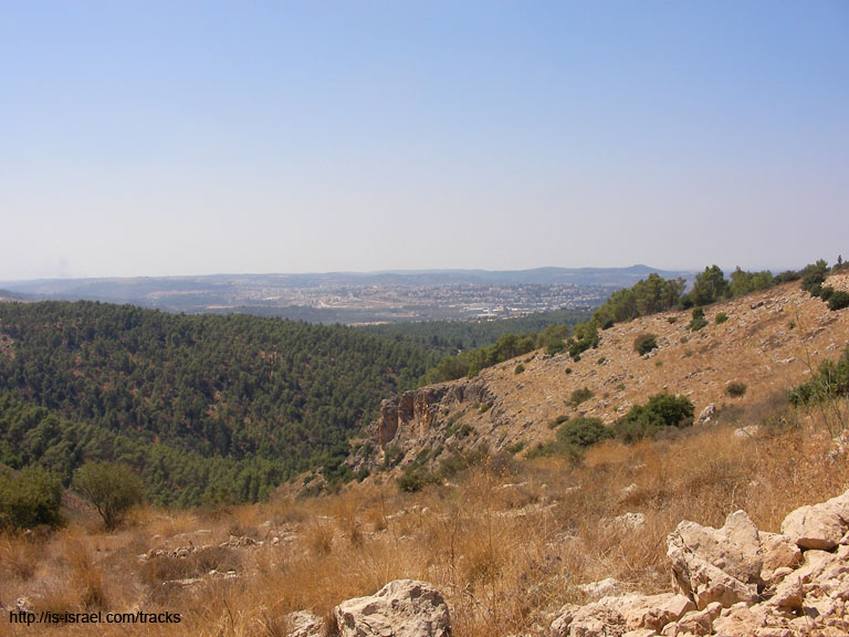 SANY0194