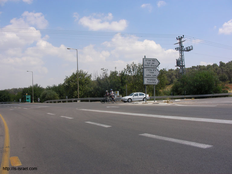 SANY6509
