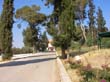 SANY6544