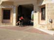 SANY6546