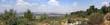 panorama2
