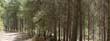 panorama1