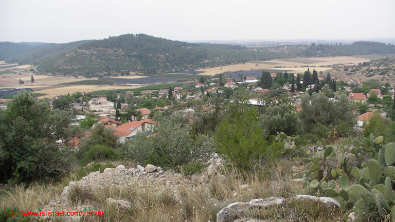 SANY9450