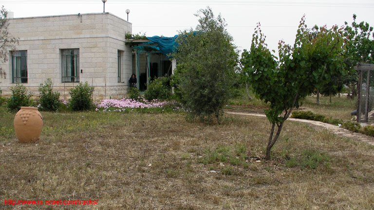 SANY9577