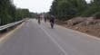 SANY9565