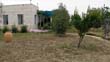SANY9577
