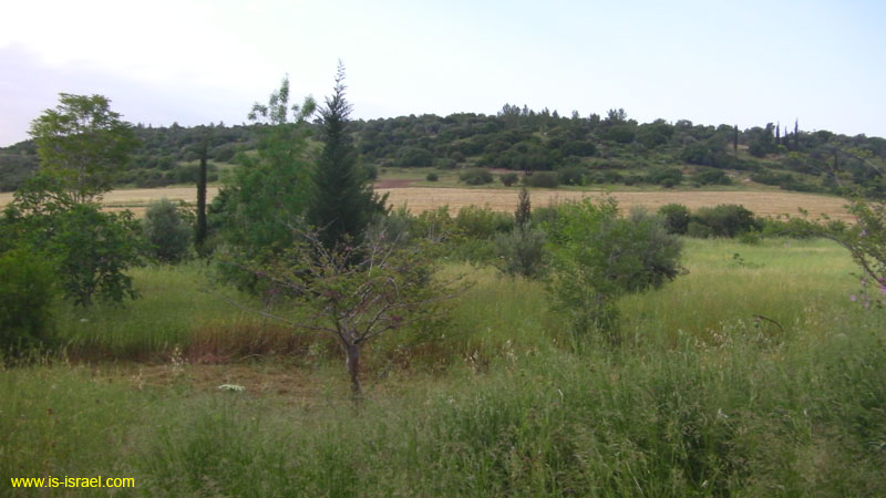 SANY0545