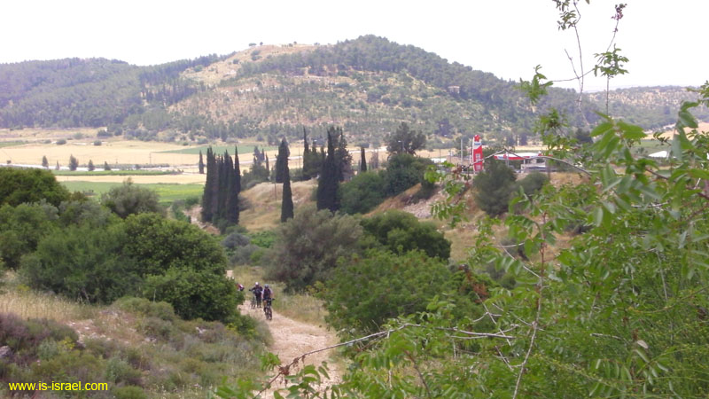 SANY0695