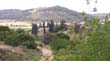 SANY0695