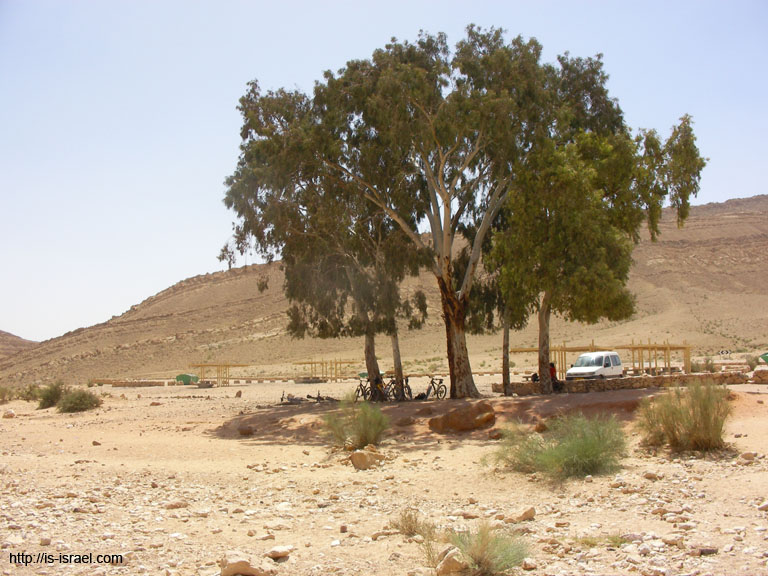 SANY5990