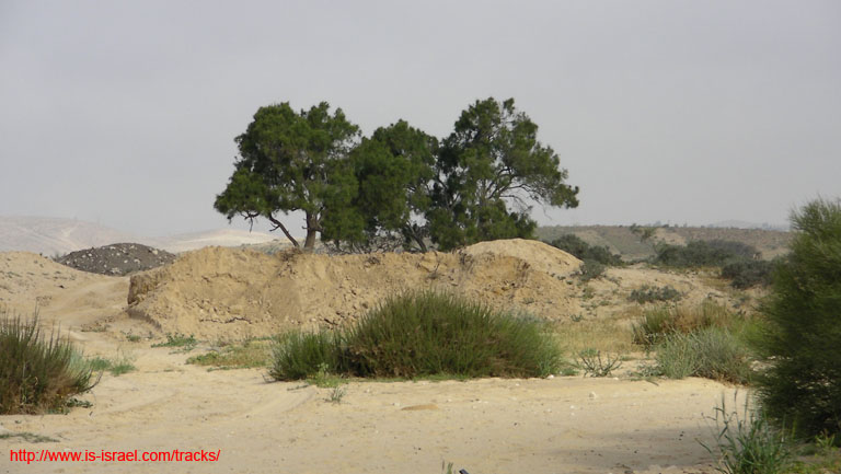 SANY8104