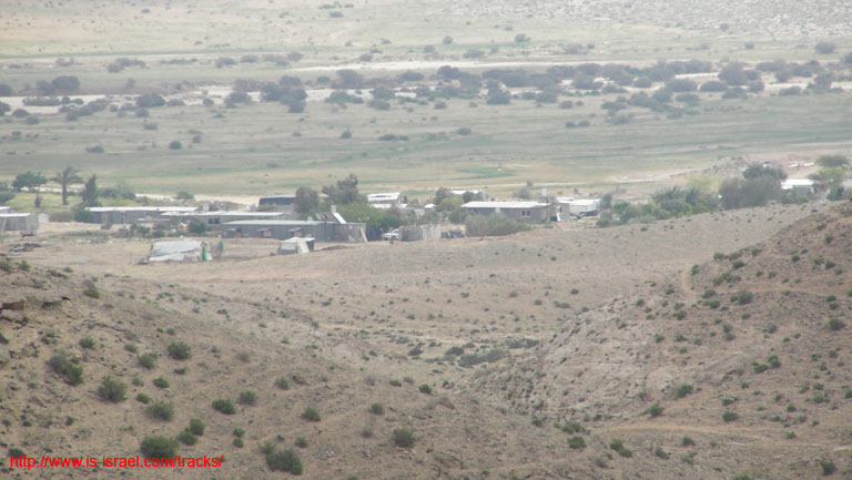 SANY8147