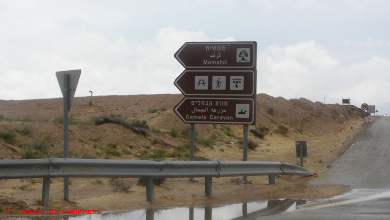 SANY8381