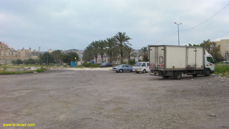 SANY0564