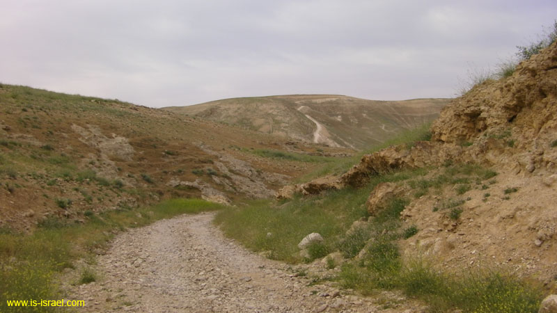 SANY0613