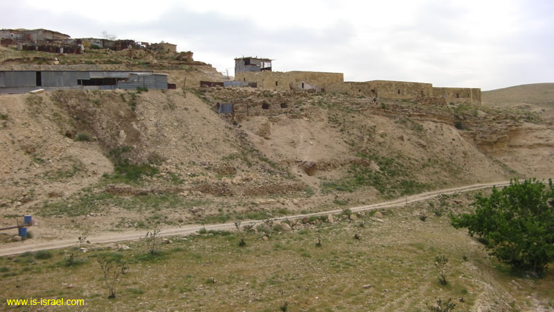 SANY0651