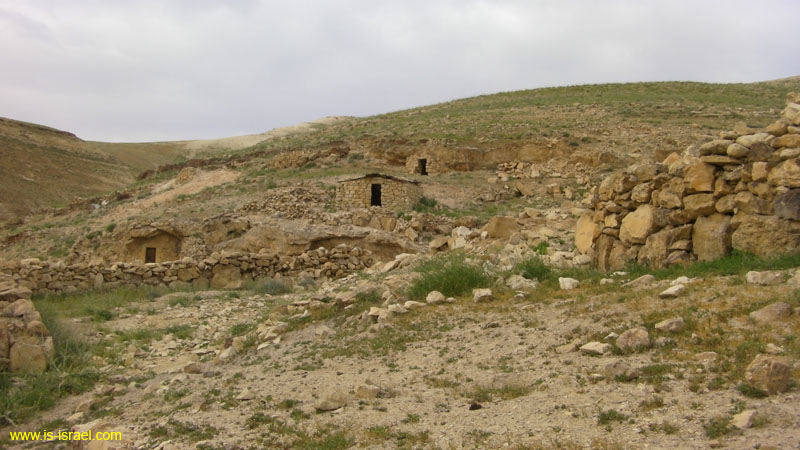 SANY0653