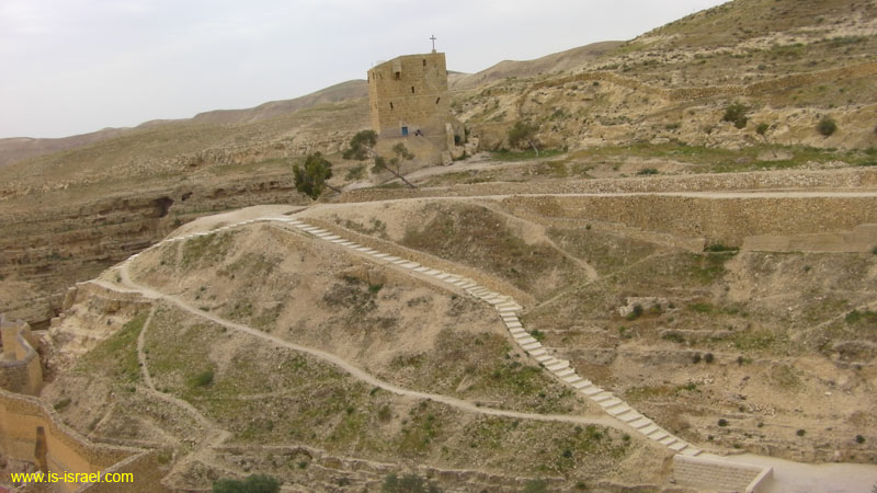 SANY0715