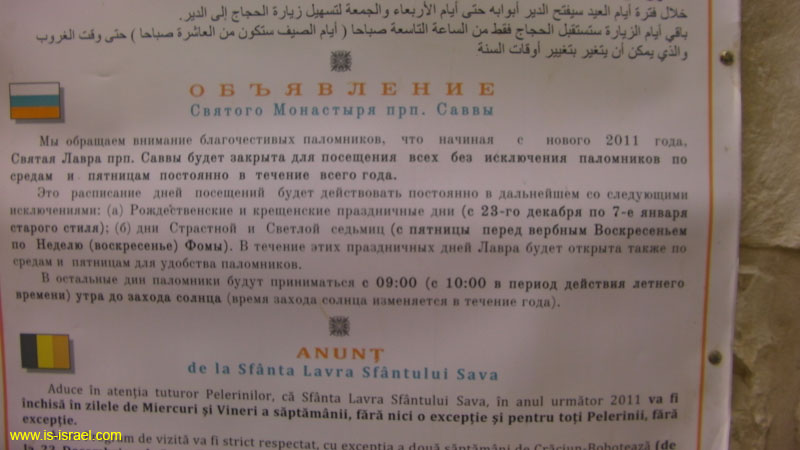 SANY0725