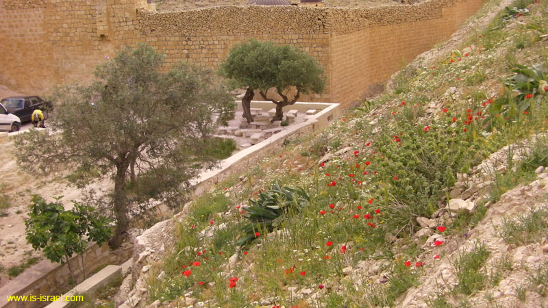 SANY0740