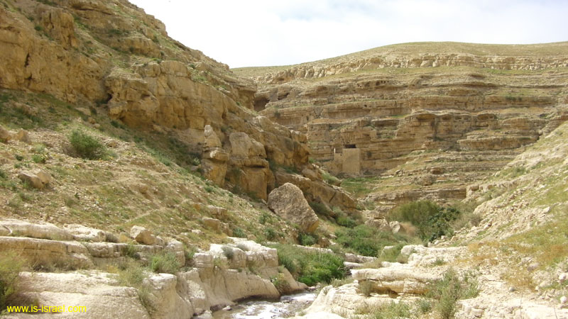 SANY0763