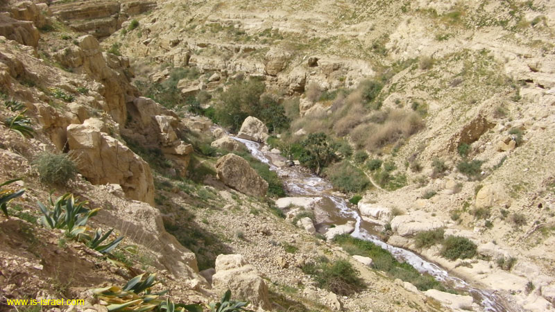 SANY0768