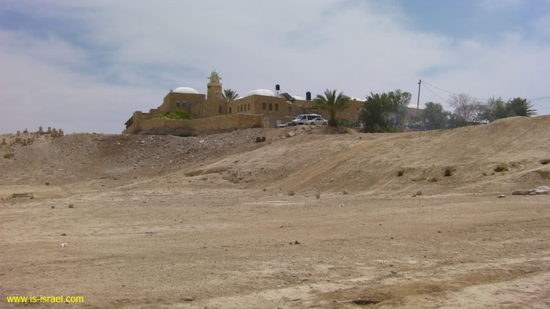 SANY0806