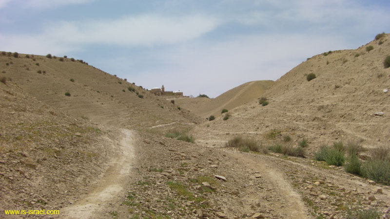SANY0810