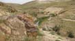 SANY0654