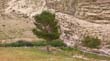 SANY0674