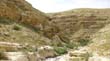 SANY0763