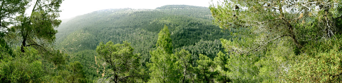 Панорама на заповедник Масрек и Иудейские горы